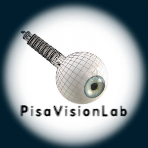 PISAVISIONLAB